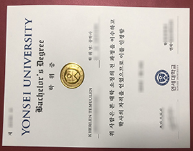 Yonsei-University-degree-certificate