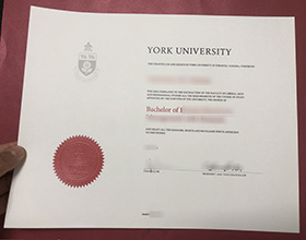 York-University-degree-certificate