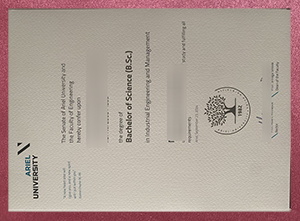 Ariel University degree sample
