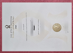 Ben-Gurion University of the Negev degree SAMPLE