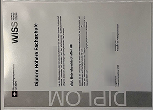 Bildungsgang anerkannt vom SBFI diploma sample