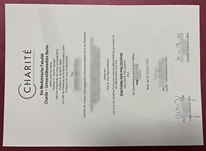 Charité – Berlin University Medicine doctor diploma sample