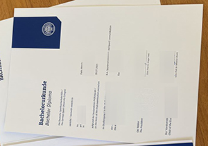 Deutsche Sporthochschule Köln Urkunde sample