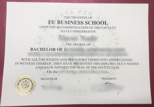 EU Business School degree sample