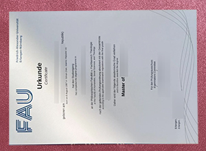 FAU Erlangen-Nürnberg Urkunde