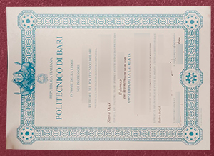 Politecnico di Bari Laurea sample