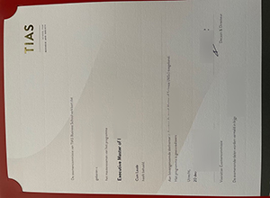 TIAS School for Business and Society degree sample