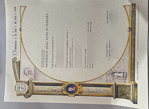 Università degli Studi di Ferrara diploma sample