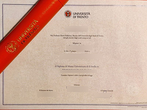 Università degli Studi di Trento diploma