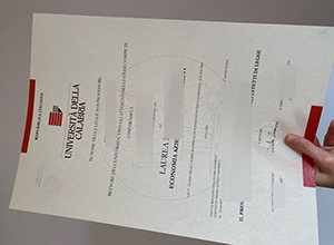 Università della Calabria laurea, Università della Calabria diploma