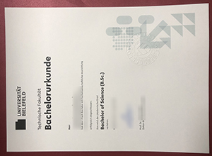 Universität Bielefeld Bachelorurkunde sample