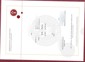 University of Copenhagen degree sample