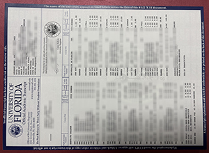 University of Florida transcript sample