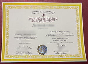 Yakın Doğu Üniversitesi diploma sample
