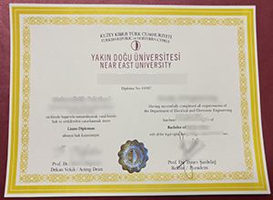 Yakın Doğu Üniversitesi diploma sample