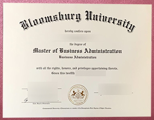 Bloomsbury Institute diploma sample