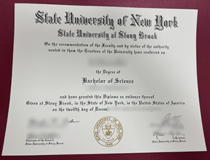 State University of Stony Brook degree, Stony Brook University diploma