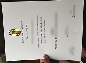 University of Navarra diploma, Universidad de Navarra MBA degree sample