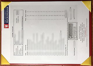 白金汉大学成绩单，University of Buckingham Transcript