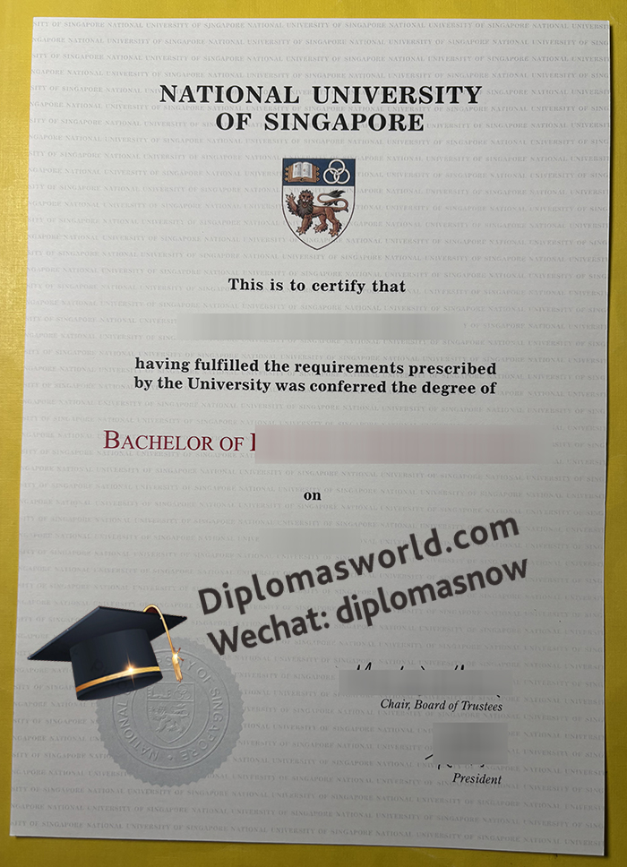 新加坡国立大学文凭， National univeisty of singapore degree